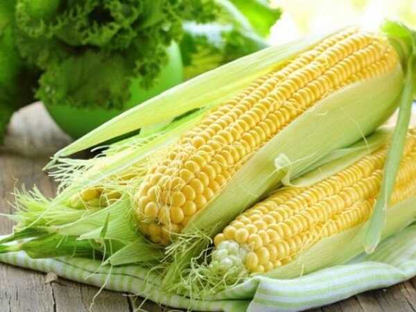Mơ thấy bắp ngô điềm lành hay giữ