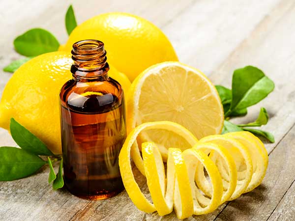 Cách trị nấm da đầu bằng tinh dầu tràm trà