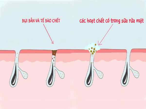 Cách massage mặt khi rửa mặt mà chị em nên áp dụng