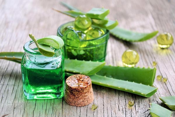 Vì sao nên chống nắng với nha đam?