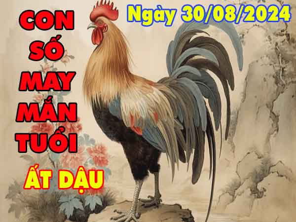 Thống kê con số may mắn tuổi Ất Dậu ngày 30/8/2024 thứ 6 hôm nay