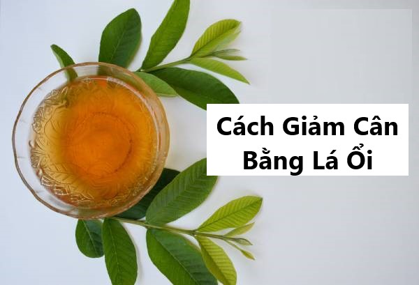 Lợi ích bất ngờ từ cách giảm cân bằng lá ổi bạn đã thử?