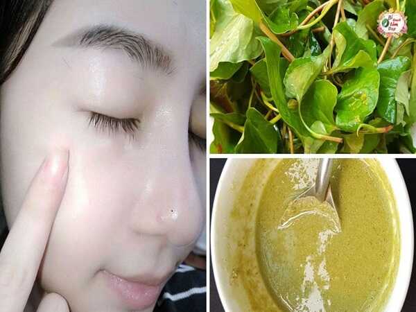 Công thức đắp mặt nạ rau diếp cá cho làn da sáng mịn