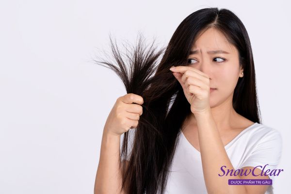 2. Hướng dẫn cách chăm sóc tóc từ A-Z cho mái tóc khỏe