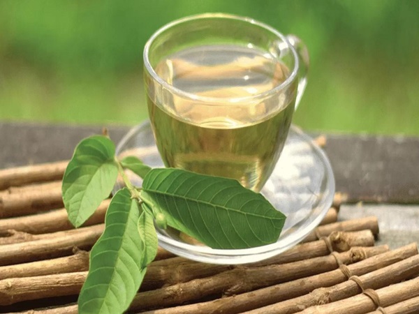 Lợi ích bất ngờ từ cách giảm cân bằng lá ổi bạn đã thử?