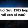 Tuổi Sửu 1985 hợp với con số nào