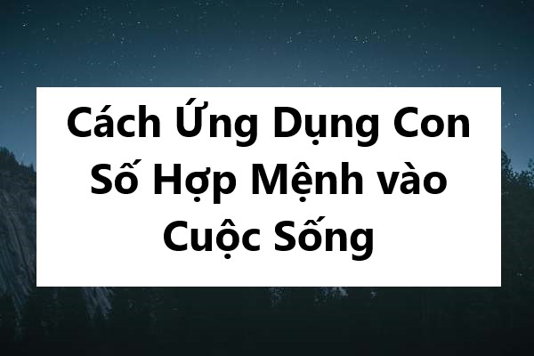 Cách Ứng Dụng Con Số Hợp Mệnh vào Cuộc Sống