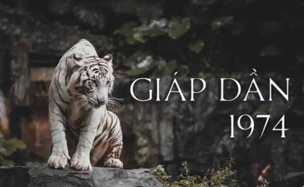 Tử vi tuổi Giáp Dần hôm nay (cho người sinh năm 1974)